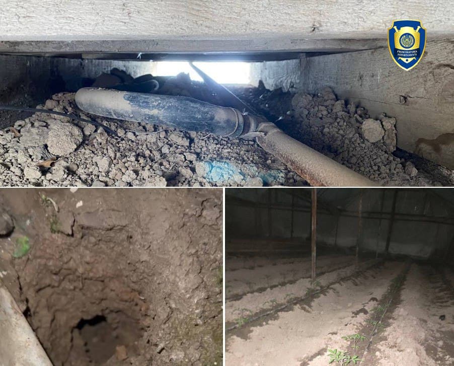 Yunusobod tumanida 590,7 mln so‘mlik tabiiy gazdan noqonuniy foydalangan issiqxona aniqlandi