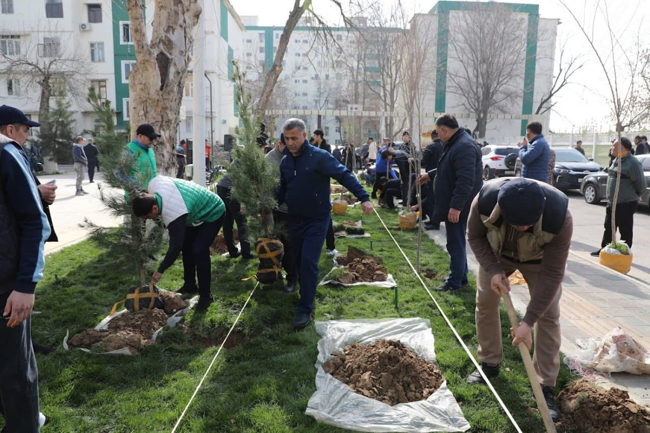 Energetika tizimida “Yashil makon”: Atmosfera musaffoligi yo‘lida bahor mavsumida 200 mingdan ziyod ko‘chat ekildi