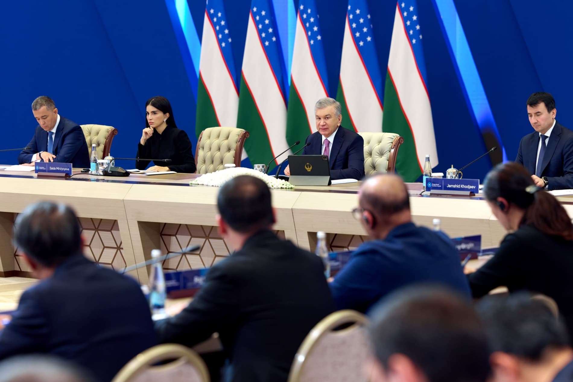 President Holds Dialogue with Investors on Accelerating Reforms in the Energy Sector