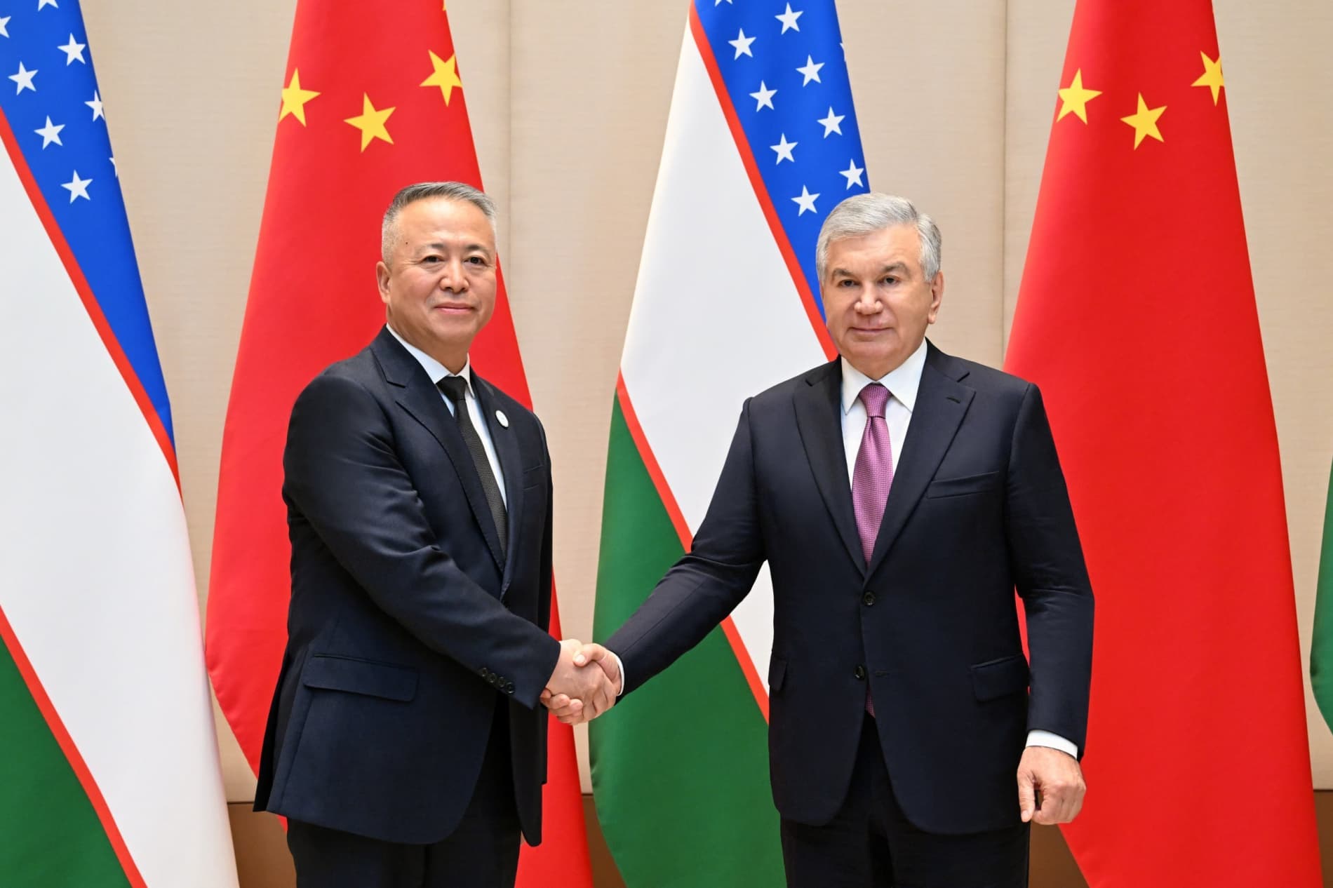 Prospects for Energy Projects Discussed with Leading Chinese Companies