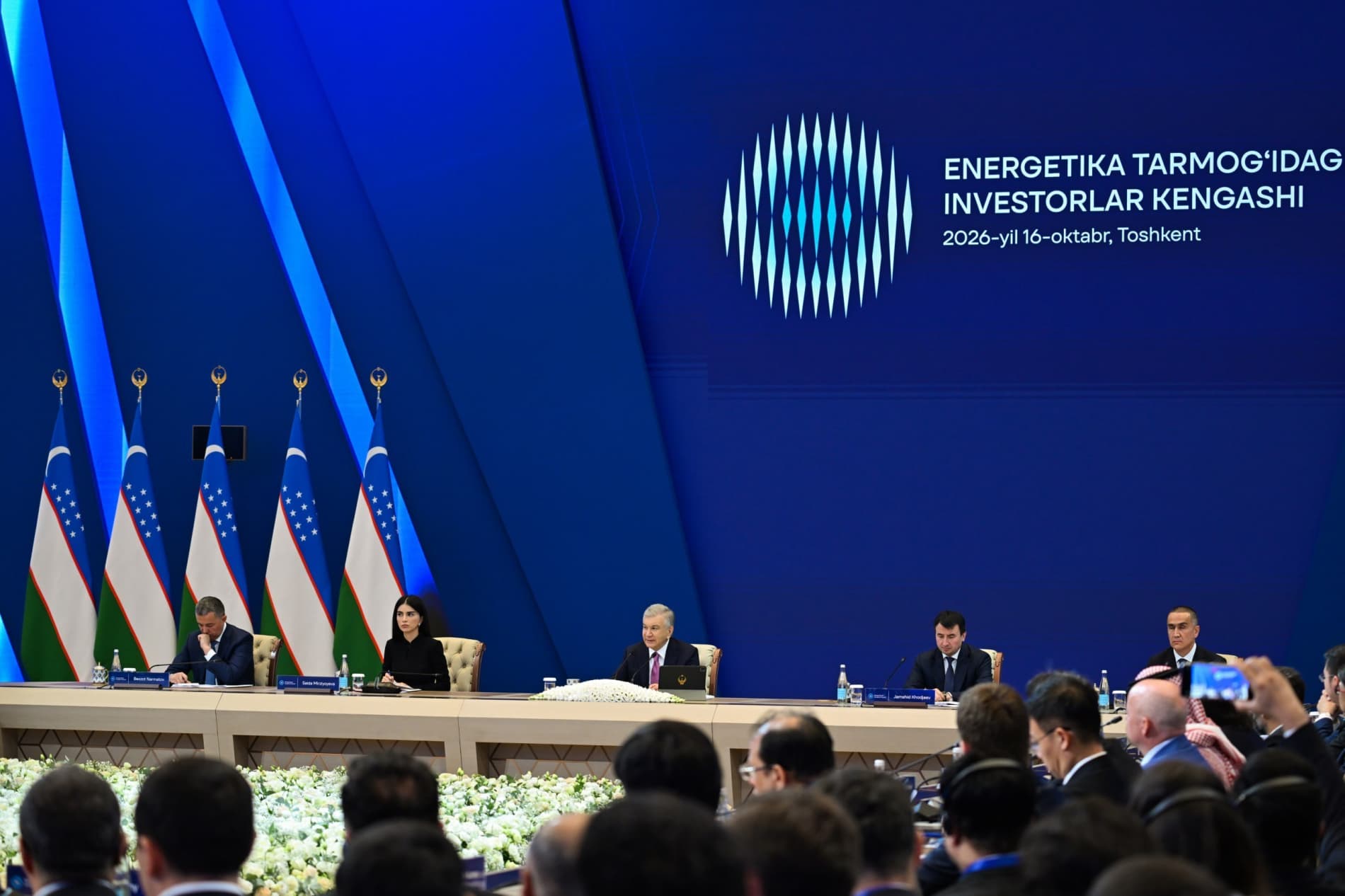 President Holds Dialogue with Investors on Accelerating Reforms in the Energy Sector