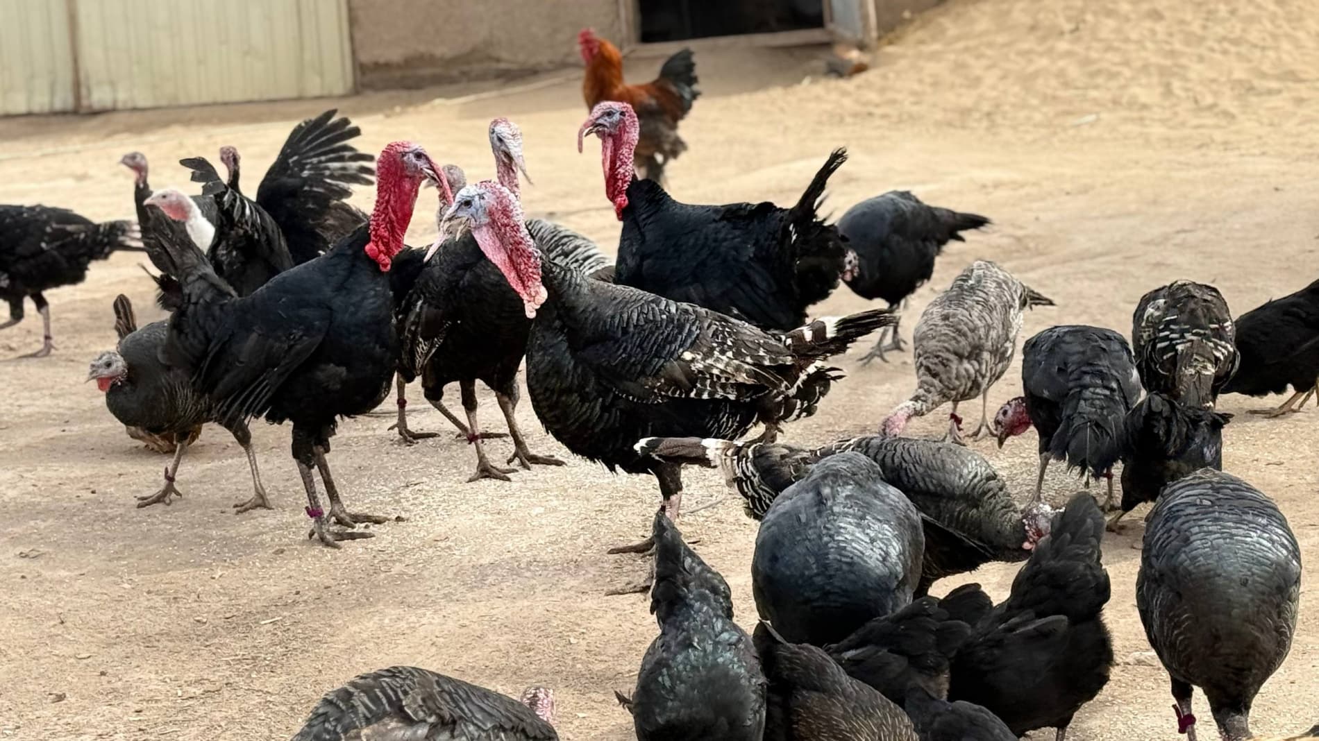 Islohotlar bilan izma-iz. Beruniy tumani misolida