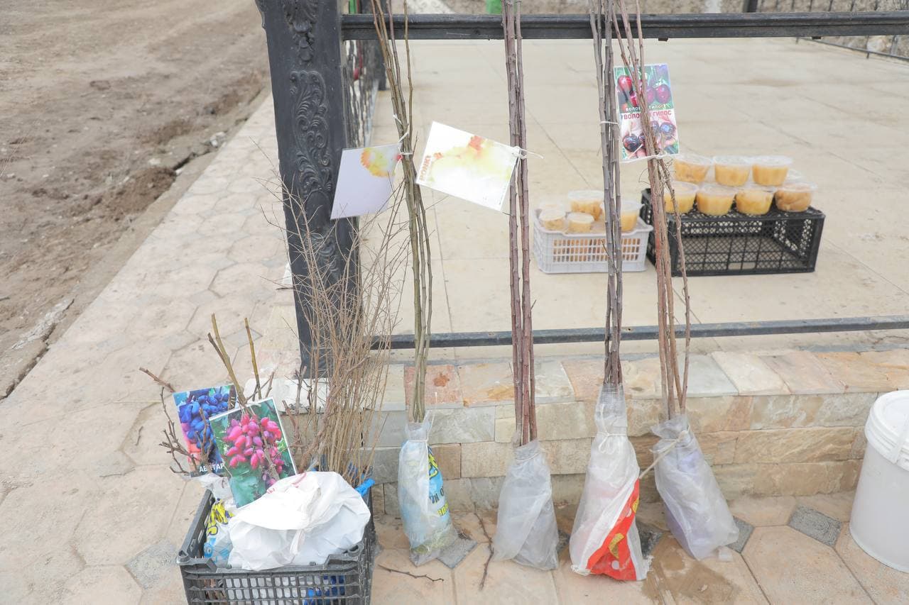 Xo‘jayli tumani "Shukrullayeva To‘lg‘anoy" fermer xo‘jaligida ko‘rgazmali seminar o‘tkazildi