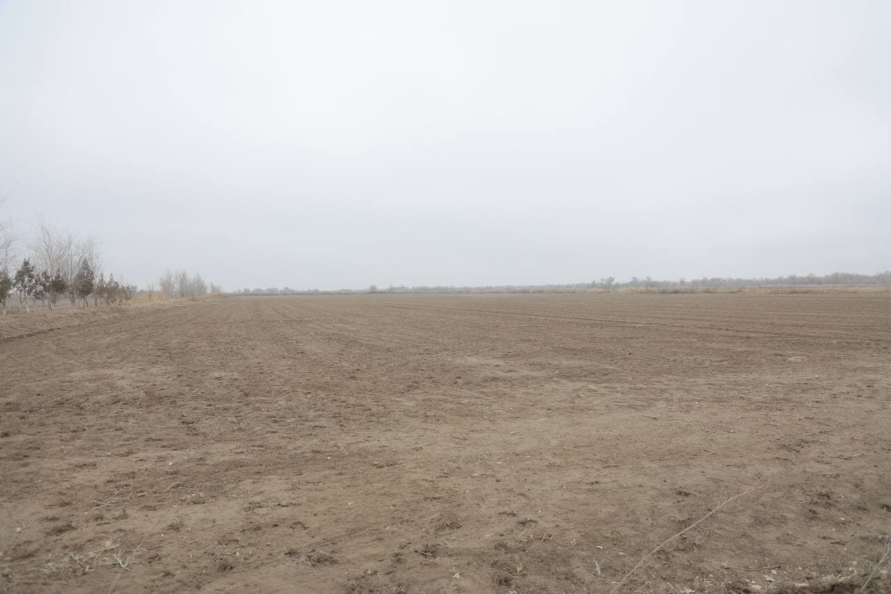 Xo‘jayli tumani "Shukrullayeva To‘lg‘anoy" fermer xo‘jaligida ko‘rgazmali seminar o‘tkazildi