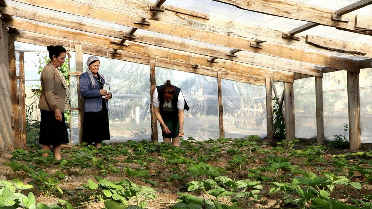 Tomorqa – har bir xonadon uchun baraka manbai.