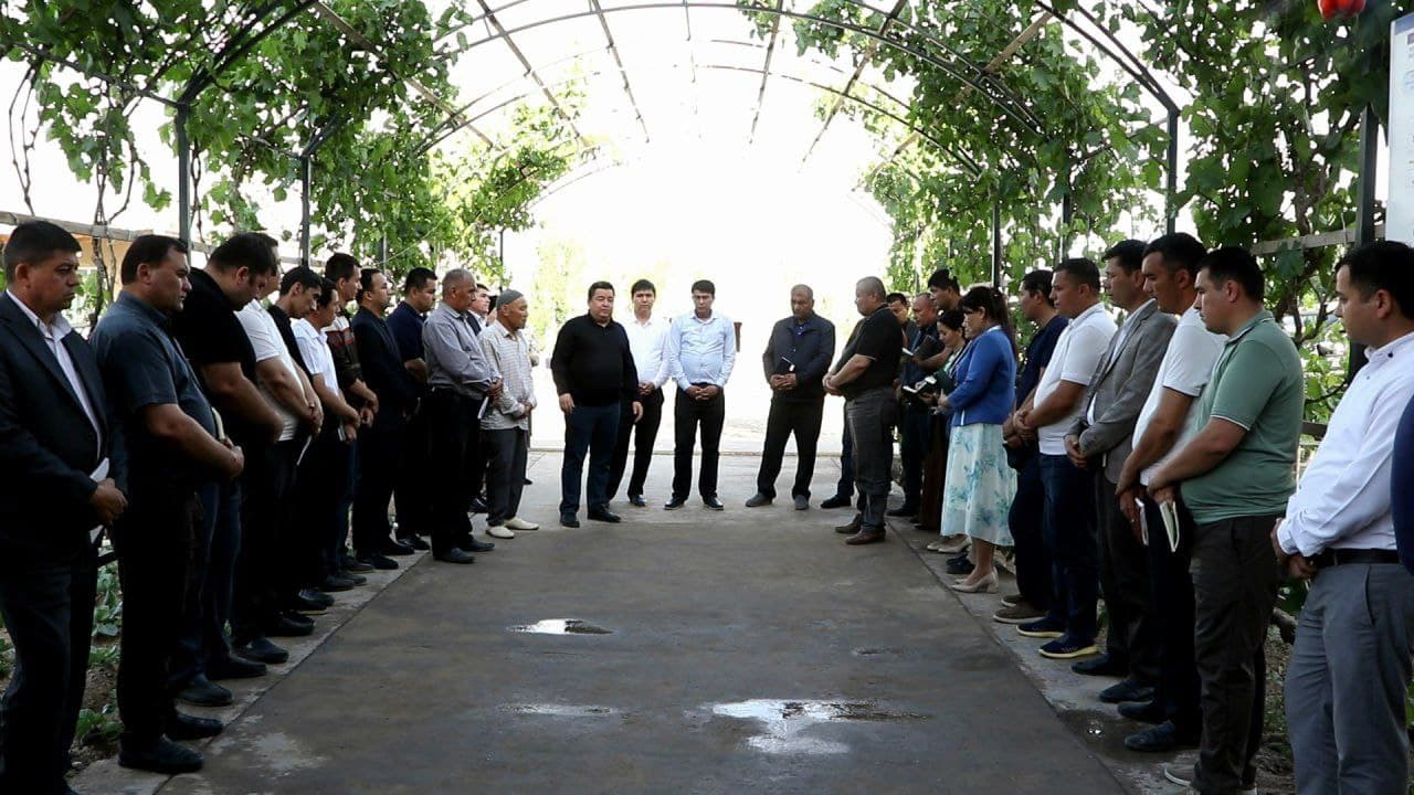 Tomorqa – har bir xonadon uchun baraka manbai.