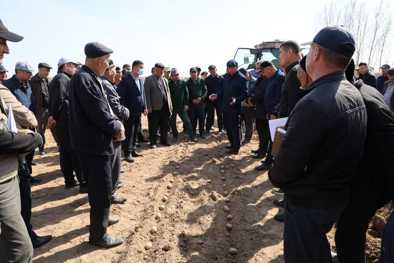 Qirqqizobod hududidagi “Guldursun agrota’minot” fermer xo‘jaligida kartoshka yetishtirishni samarali tashkil etish, fermer va dehqon xo‘jaliklariga zamonaviy ekish texnologiyalarini amaliy ko‘rsatish maqsadida ko‘rgazmali seminar tashkil etildi.