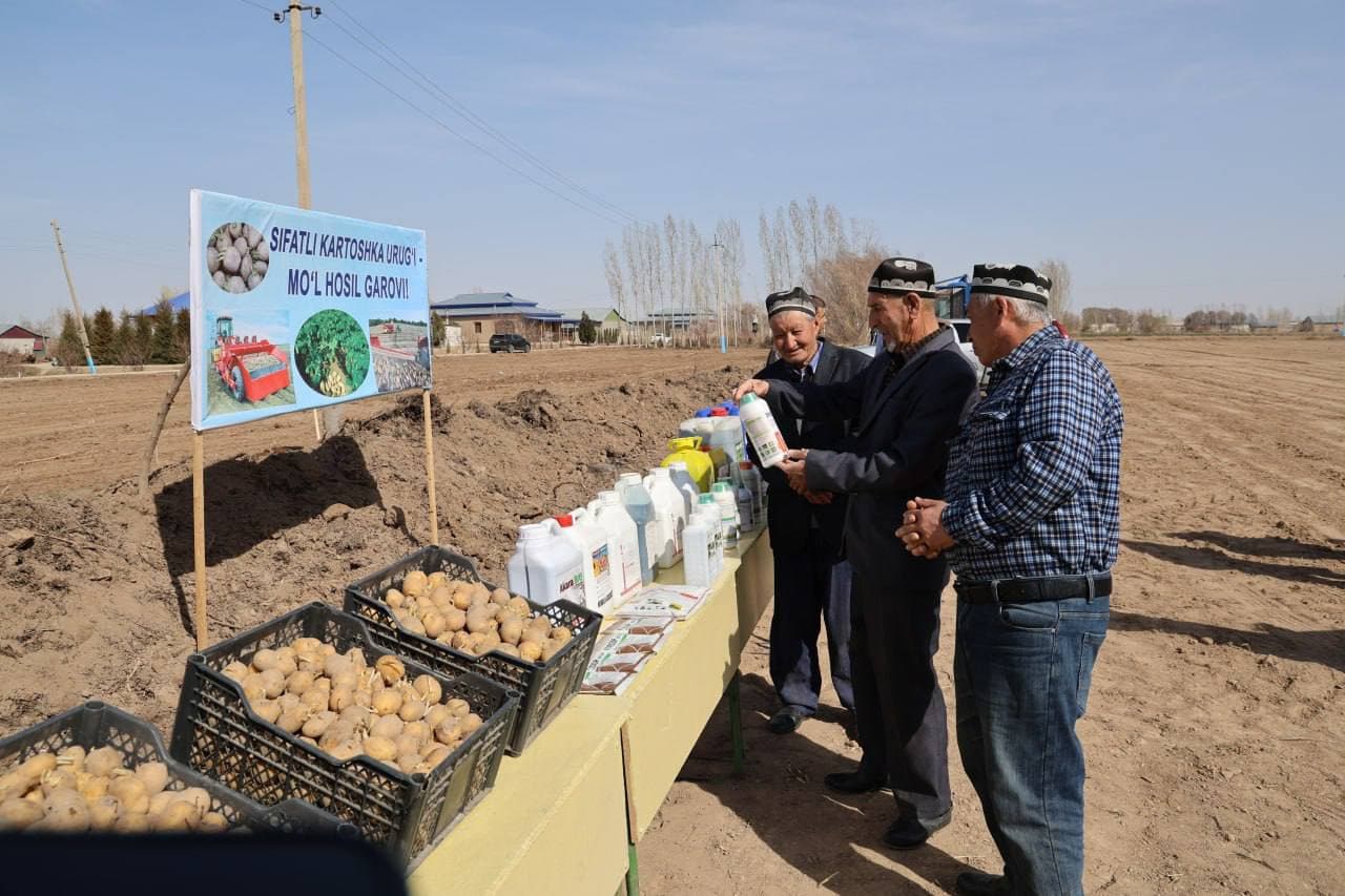 Qirqqizobod hududidagi “Guldursun agrota’minot” fermer xo‘jaligida kartoshka yetishtirishni samarali tashkil etish, fermer va dehqon xo‘jaliklariga zamonaviy ekish texnologiyalarini amaliy ko‘rsatish maqsadida ko‘rgazmali seminar tashkil etildi.