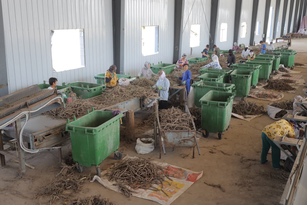 Sizga doimiy ish o‘rni shu yerda