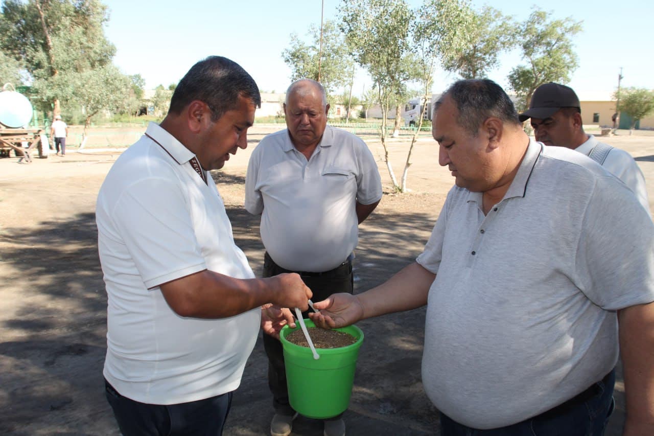 Amudaryo tumanida g‘alla yig‘im-terimi boshlandi