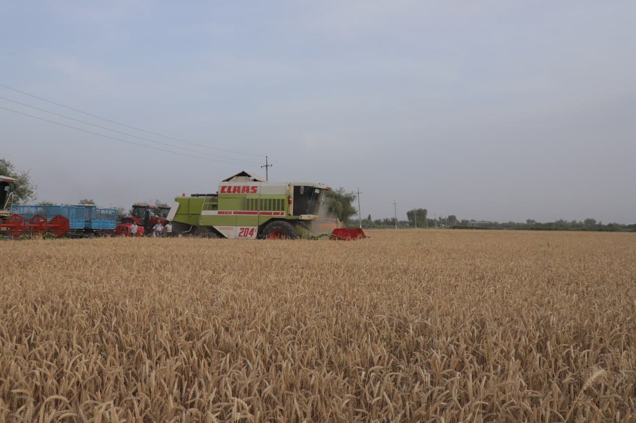 G‘alla o‘rimiga bag‘ishlangan seminar bo‘lib o‘tdi