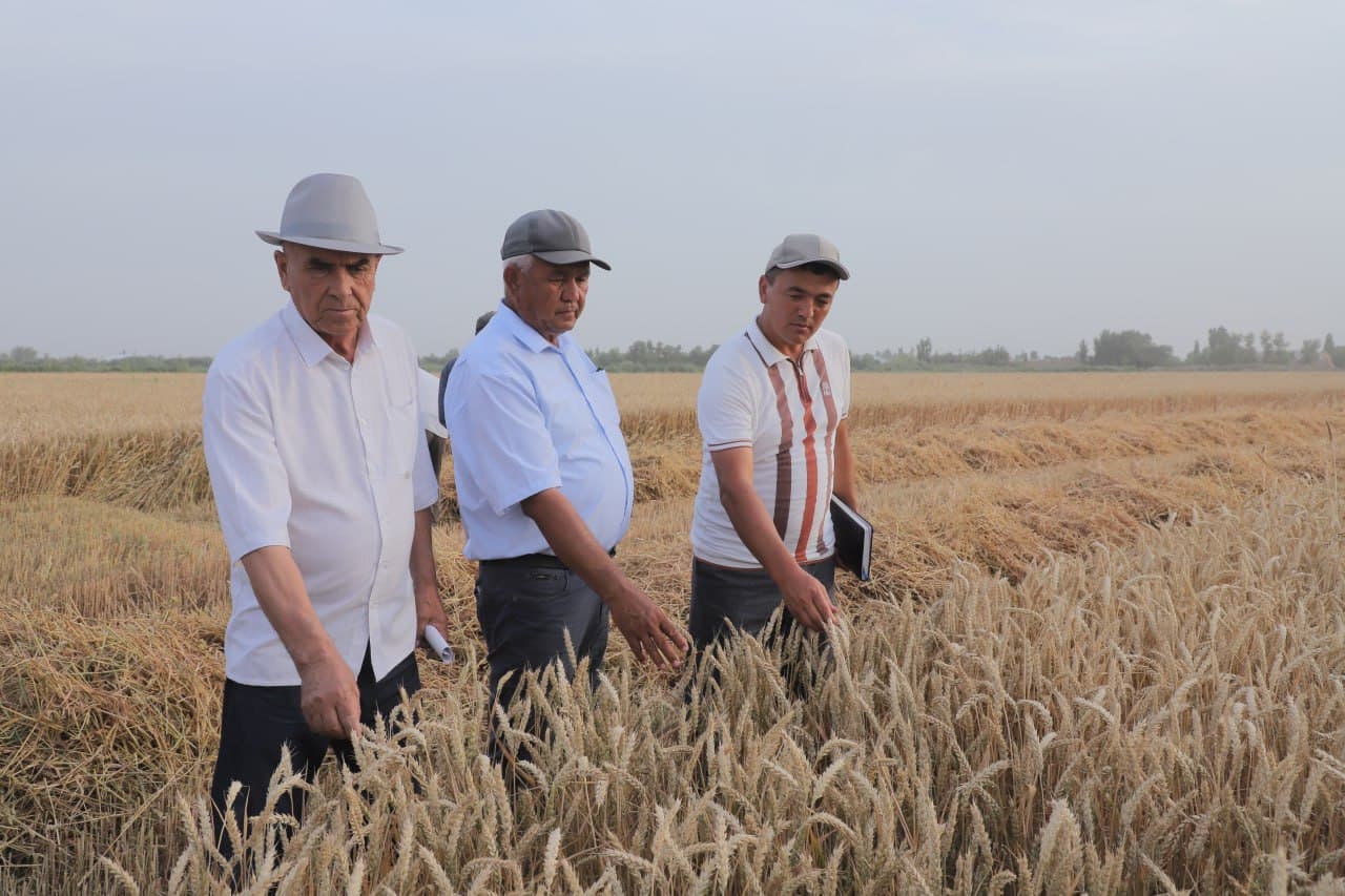 G‘alla o‘rimiga bag‘ishlangan seminar bo‘lib o‘tdi