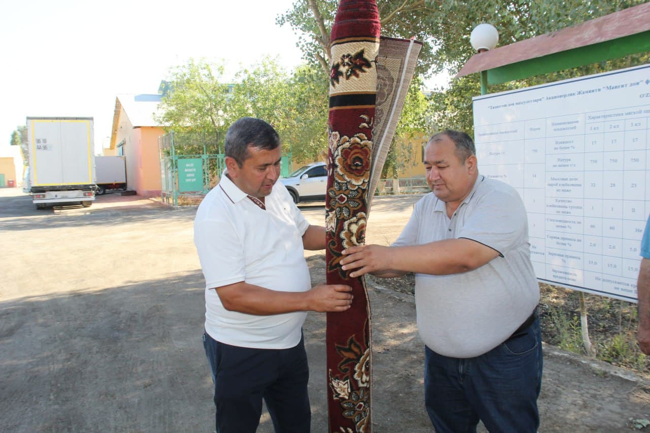 Amudaryo tumanida g‘alla yig‘im-terimi boshlandi