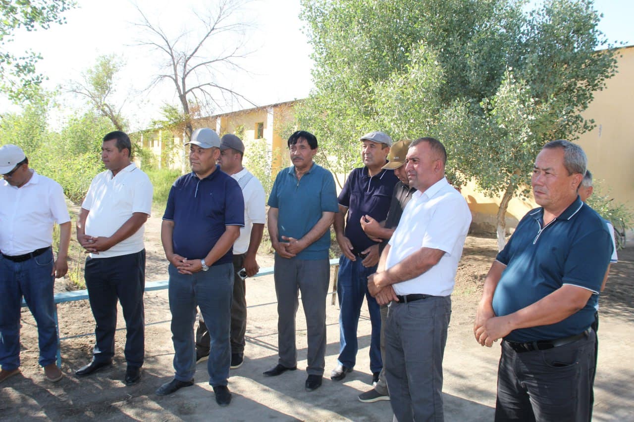 Amudaryo tumanida g‘alla yig‘im-terimi boshlandi
