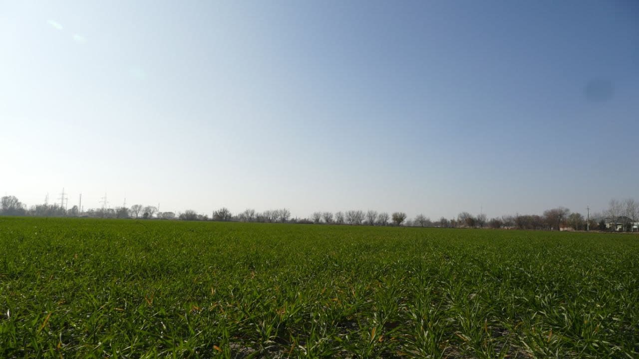 To‘lqin ovulida qishloq xo‘jaligi taraqqiyoti yo‘lida amaliy seminarlar bo‘lib o‘tdi