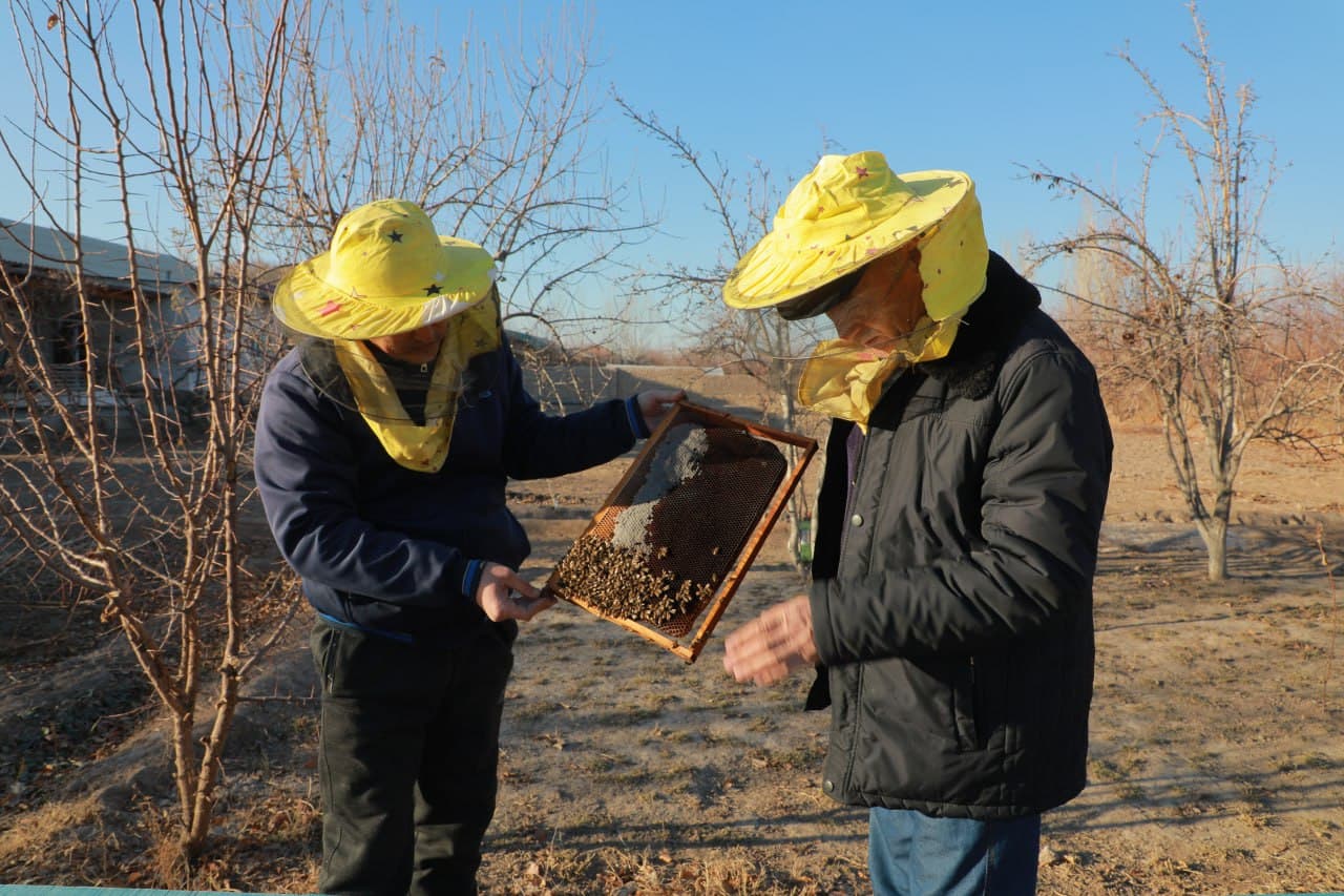 Do‘rman ovuli - mehnat, hamjihatlik va taraqqiyot maskani