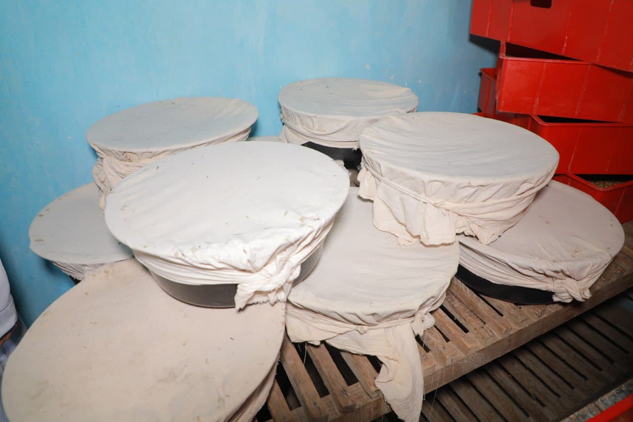 Amudaryo tumanida 2026 yil chigit ekish mavsumiga puxta tayyorgarlik yuzasidan amaliy seminarlar tashkil etildi