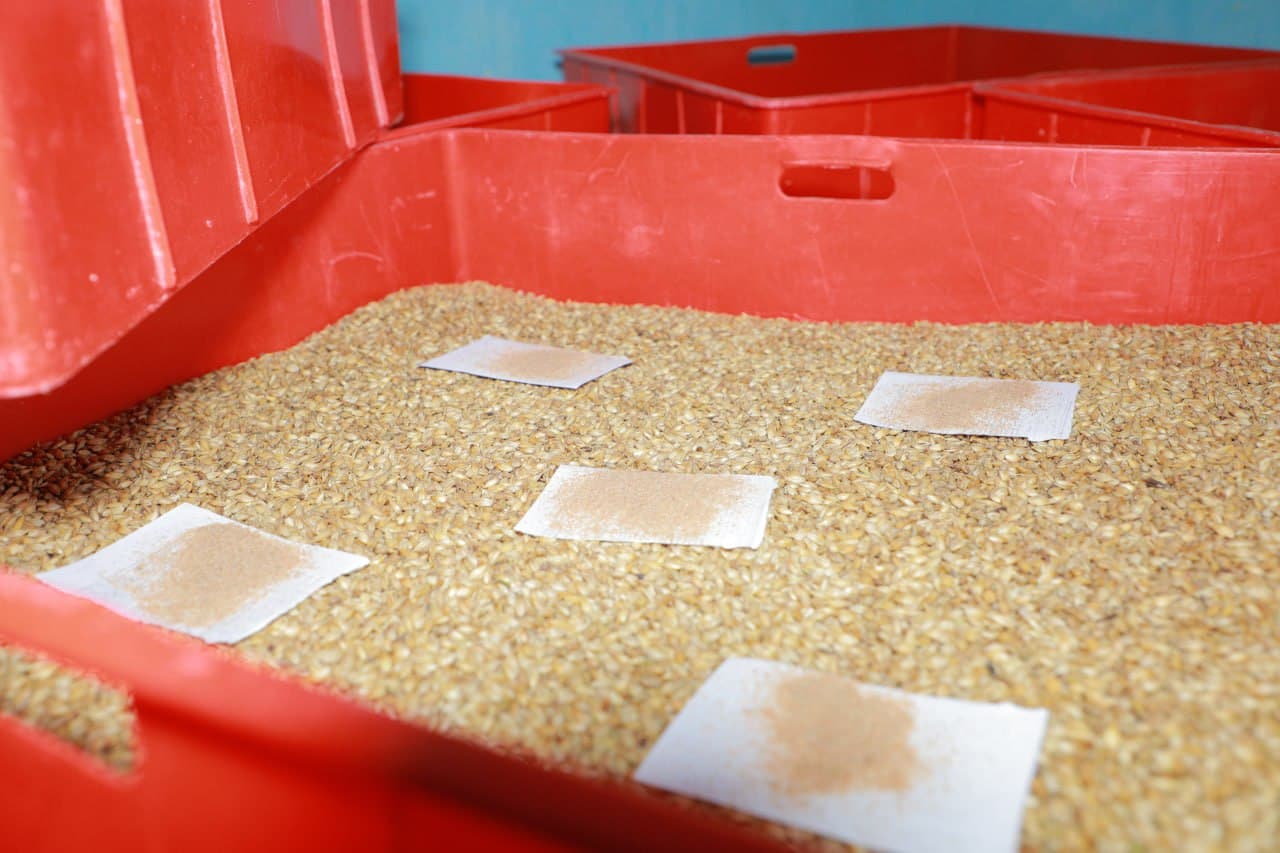 Amudaryo tumanida 2026 yil chigit ekish mavsumiga puxta tayyorgarlik yuzasidan amaliy seminarlar tashkil etildi