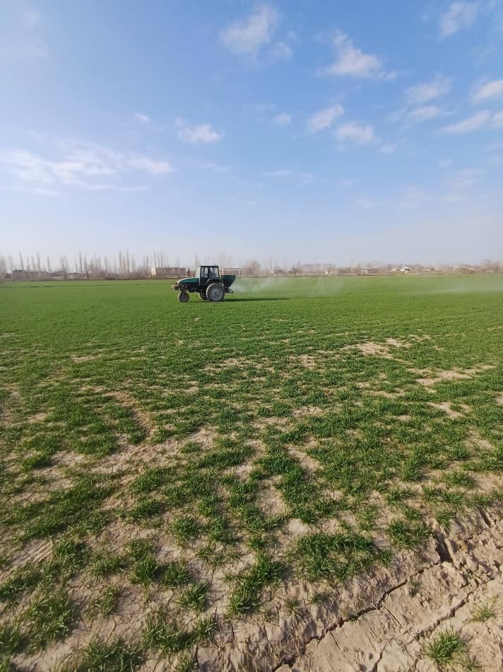Qishloq xo'jaligi rivoji agrotexnik tadbirlarning bajarilishiga bog'liq