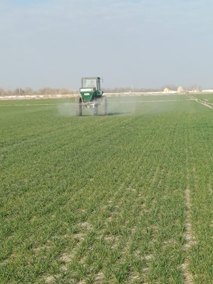 Qishloq xo'jaligi rivoji agrotexnik tadbirlarning bajarilishiga bog'liq