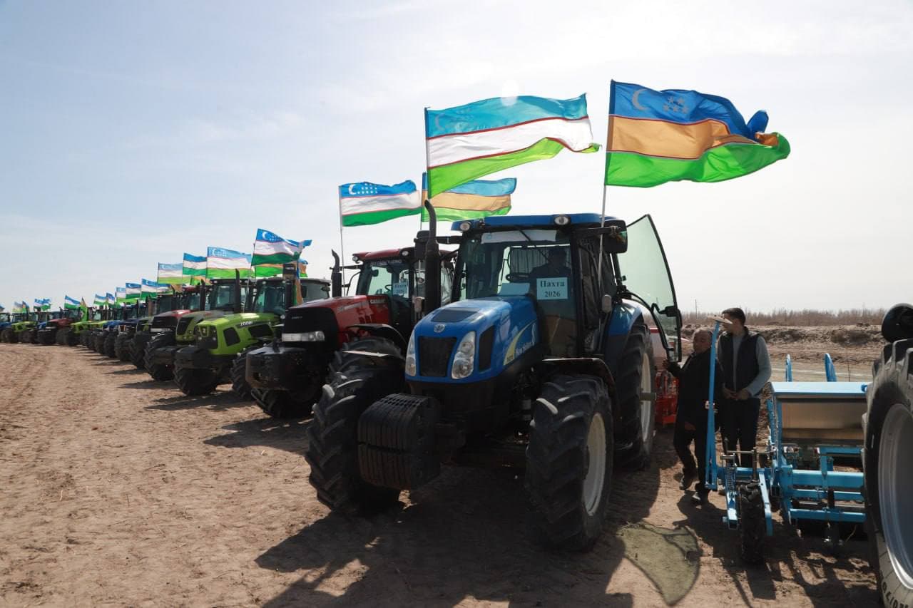 Amudaryoda paxta mavsumiga puxta zamin: sifatli chigit ekish – mo‘l hosil garovi