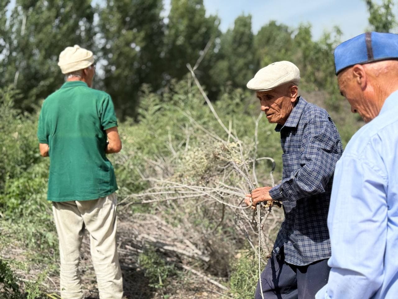 Ajdodlar xotirasiga ehtirom — milliy qadriyatlarimizning yuksak namunasi