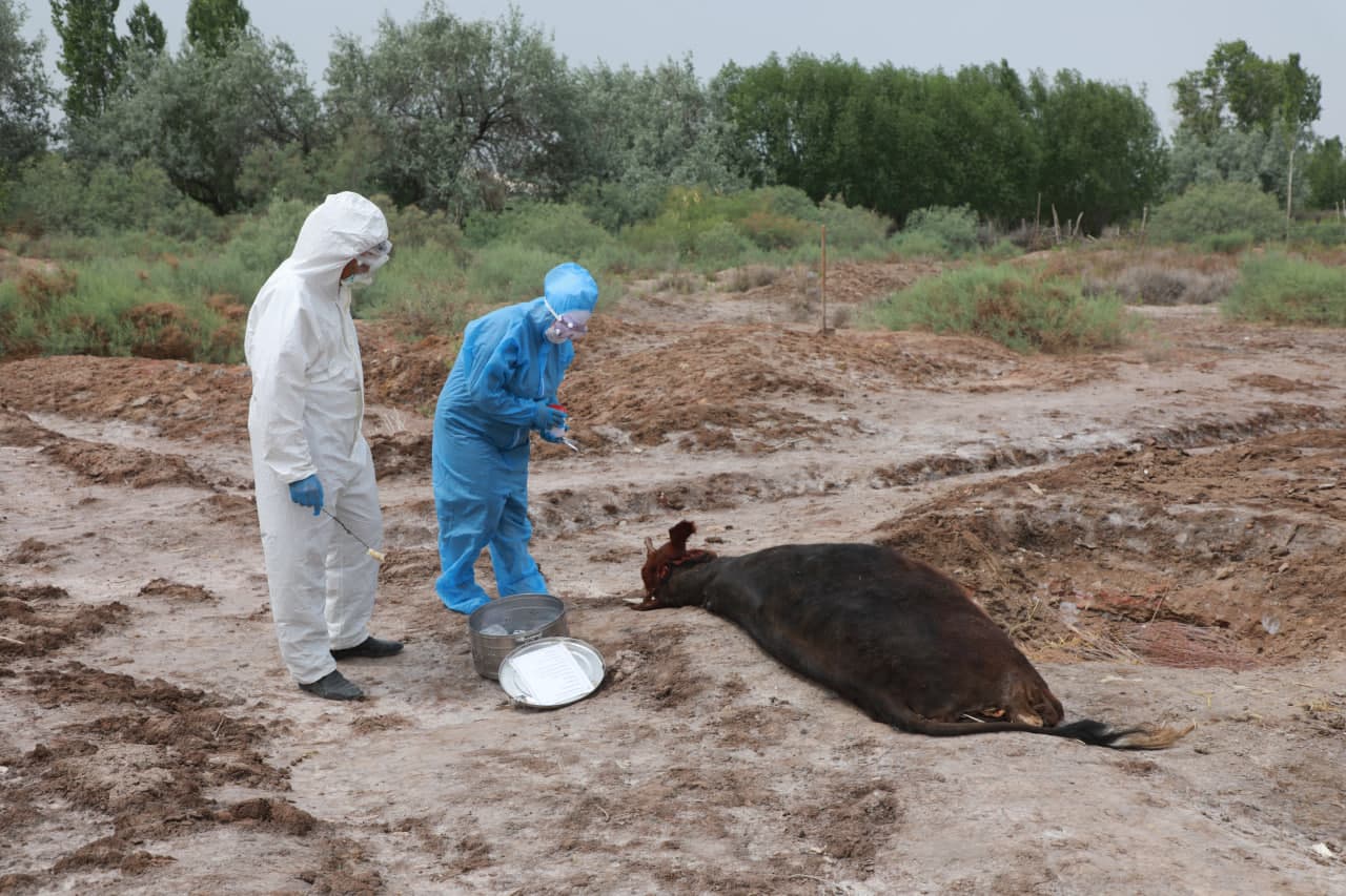 Проведены специально-тактические учения