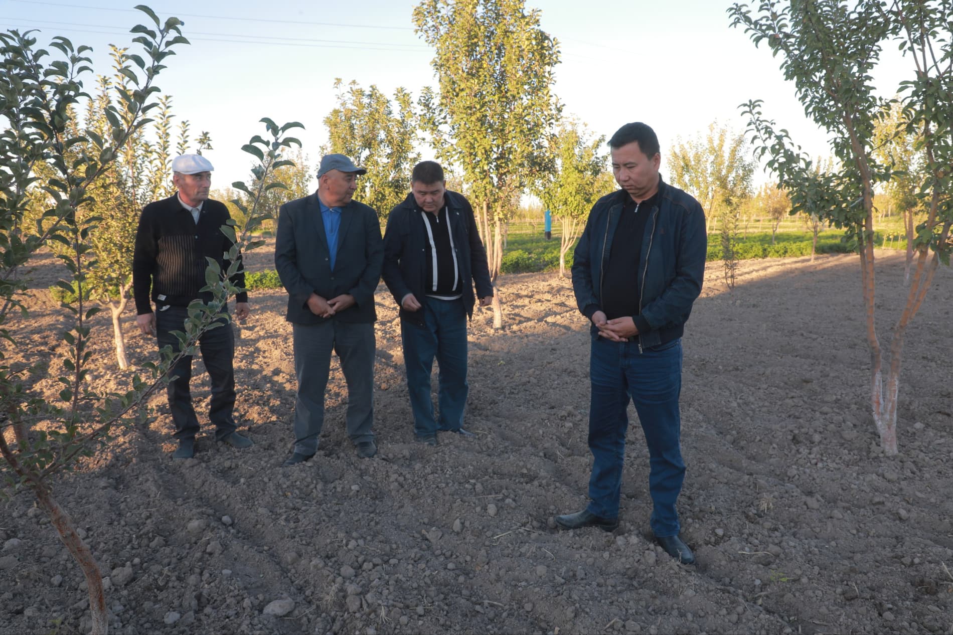 Qo‘ng‘irot tumani to‘qsonbosdi ekinlarida agrotexnik ishlari olib borilishi ko'zdan kechirildi