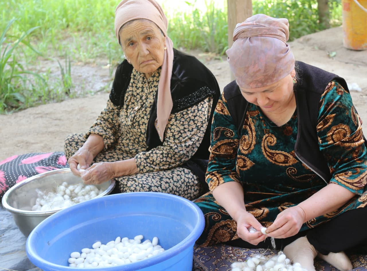 Kumush tola xirmoni