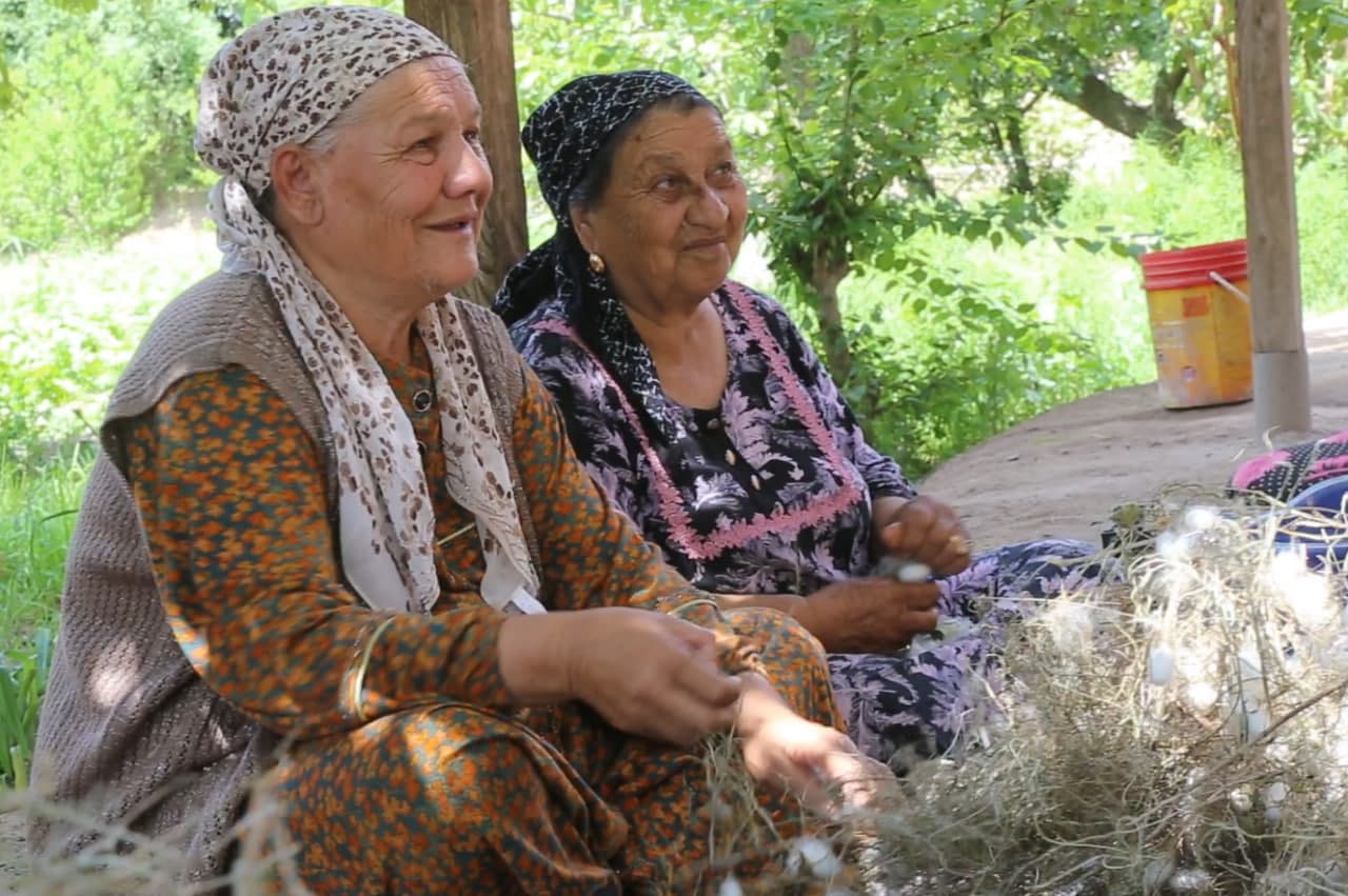 Kumush tola xirmoni