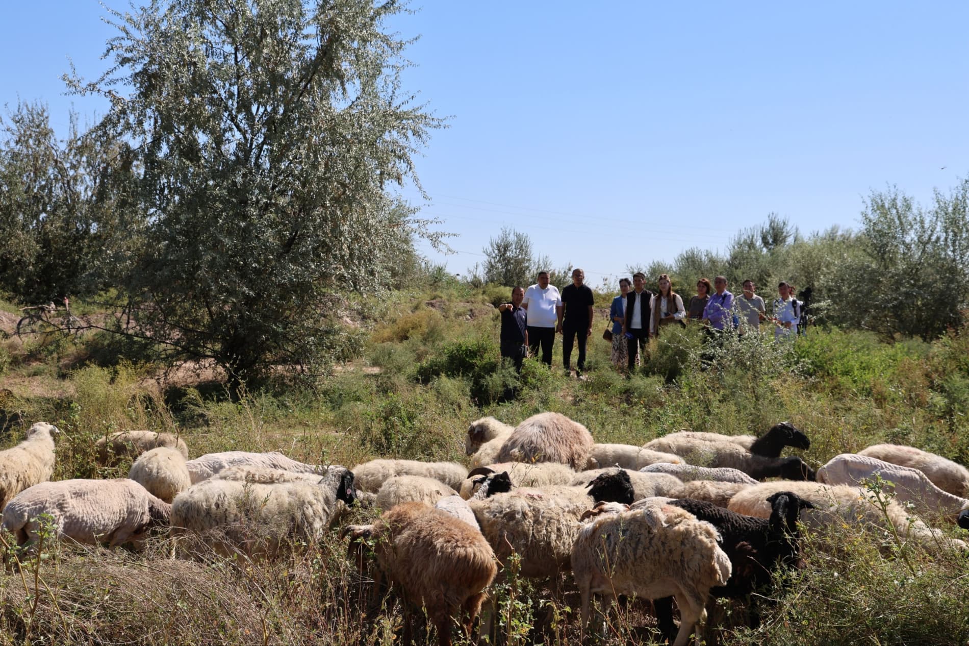 Shomanayda mikrojoybarlar jumısı menen tanısıw maqsetinde press-tur shólkemlestirildi