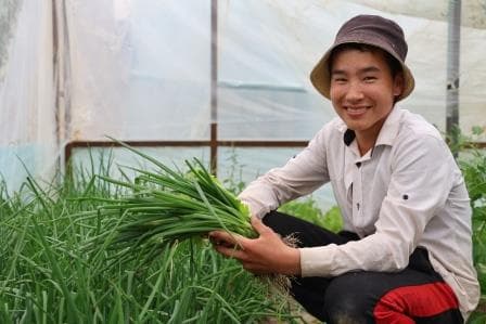 Issiqxona yil davomida sabzavot va ko‘chatlar yetishtirish imkonini beradi.