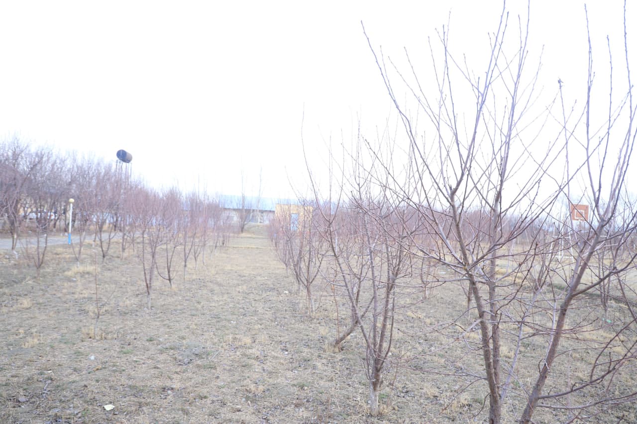 "Яшил макон" - келажак олдидаги масъулиятимиз