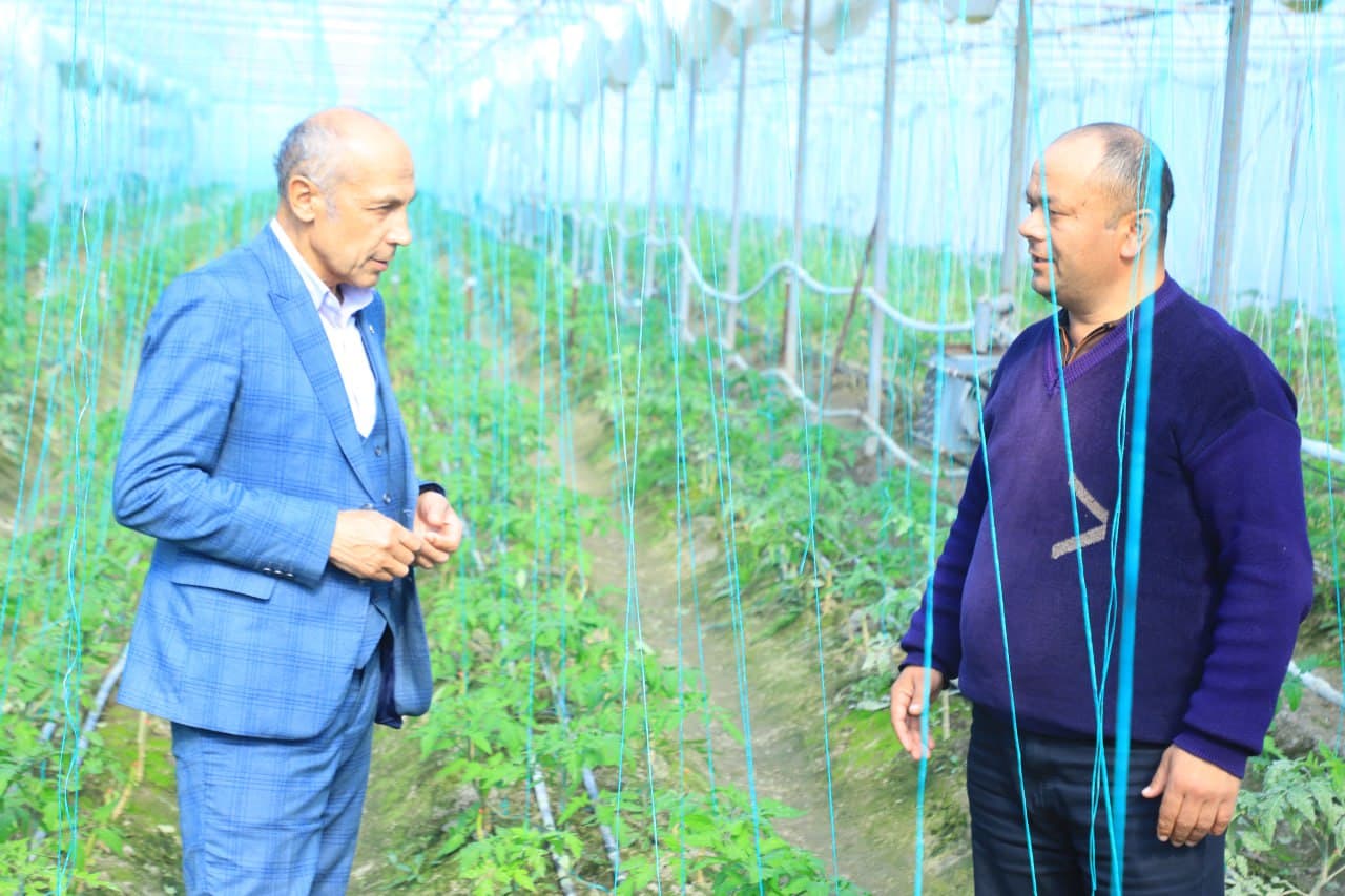 Томорқанинг обод бўлиши - қўшимча даромад