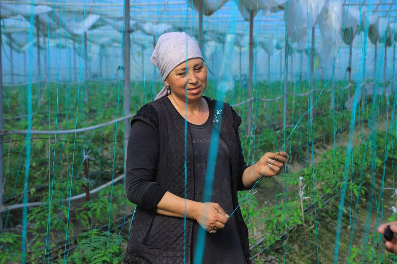 Томорқанинг обод бўлиши - қўшимча даромад