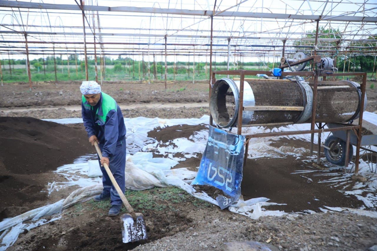 Viloyat hokimi Botir Zaripov Vobkent tumanida qishloq xo‘jaligida borayotgan agrotexnik tadbirlarni ko‘zdan kechirar ekan, Umar Rajabov xo‘jaligi faoliyatini ham borib ko‘rdi
