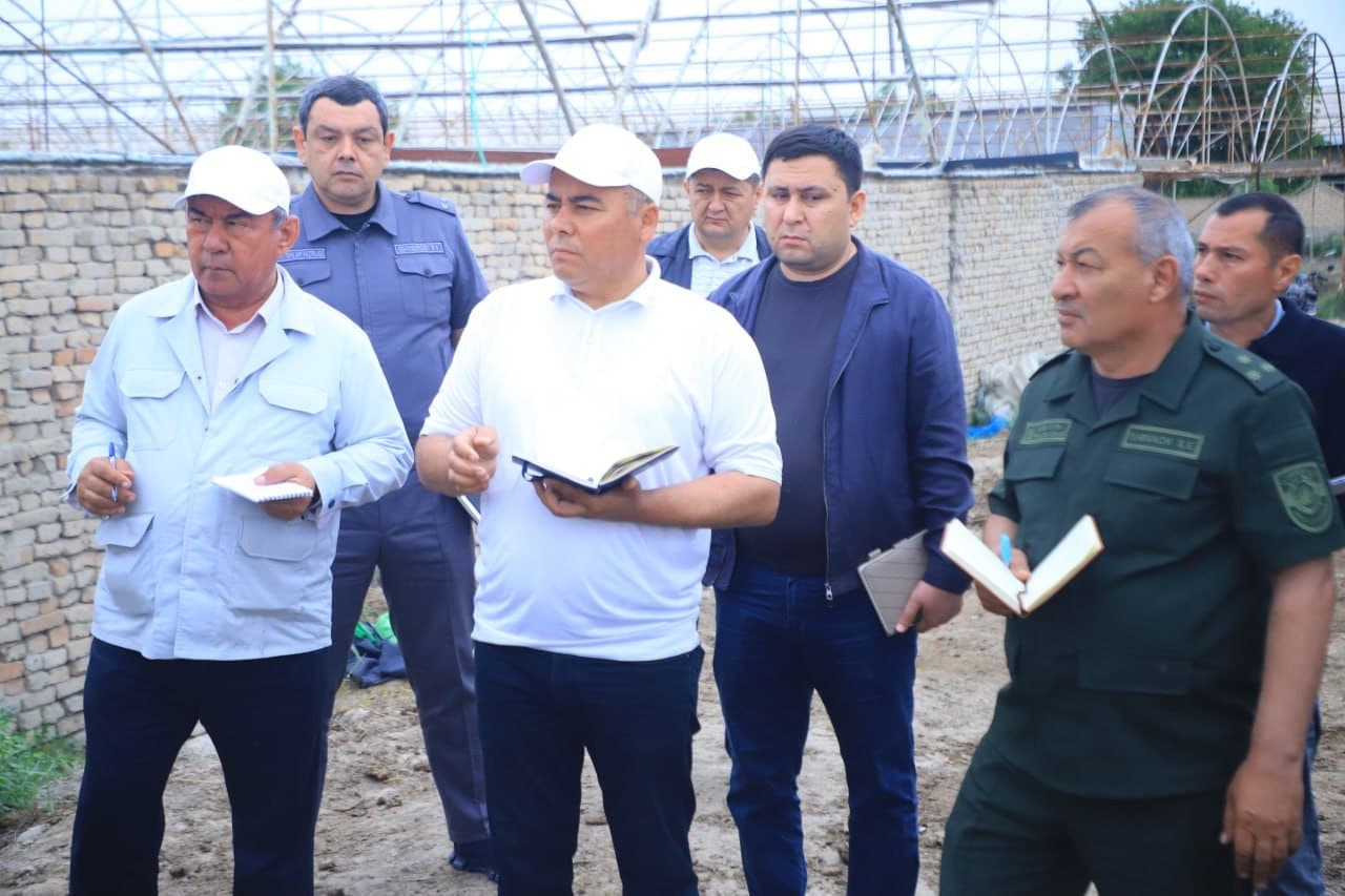 Viloyat hokimi Botir Zaripov Vobkent tumanida qishloq xo‘jaligida borayotgan agrotexnik tadbirlarni ko‘zdan kechirar ekan, Umar Rajabov xo‘jaligi faoliyatini ham borib ko‘rdi