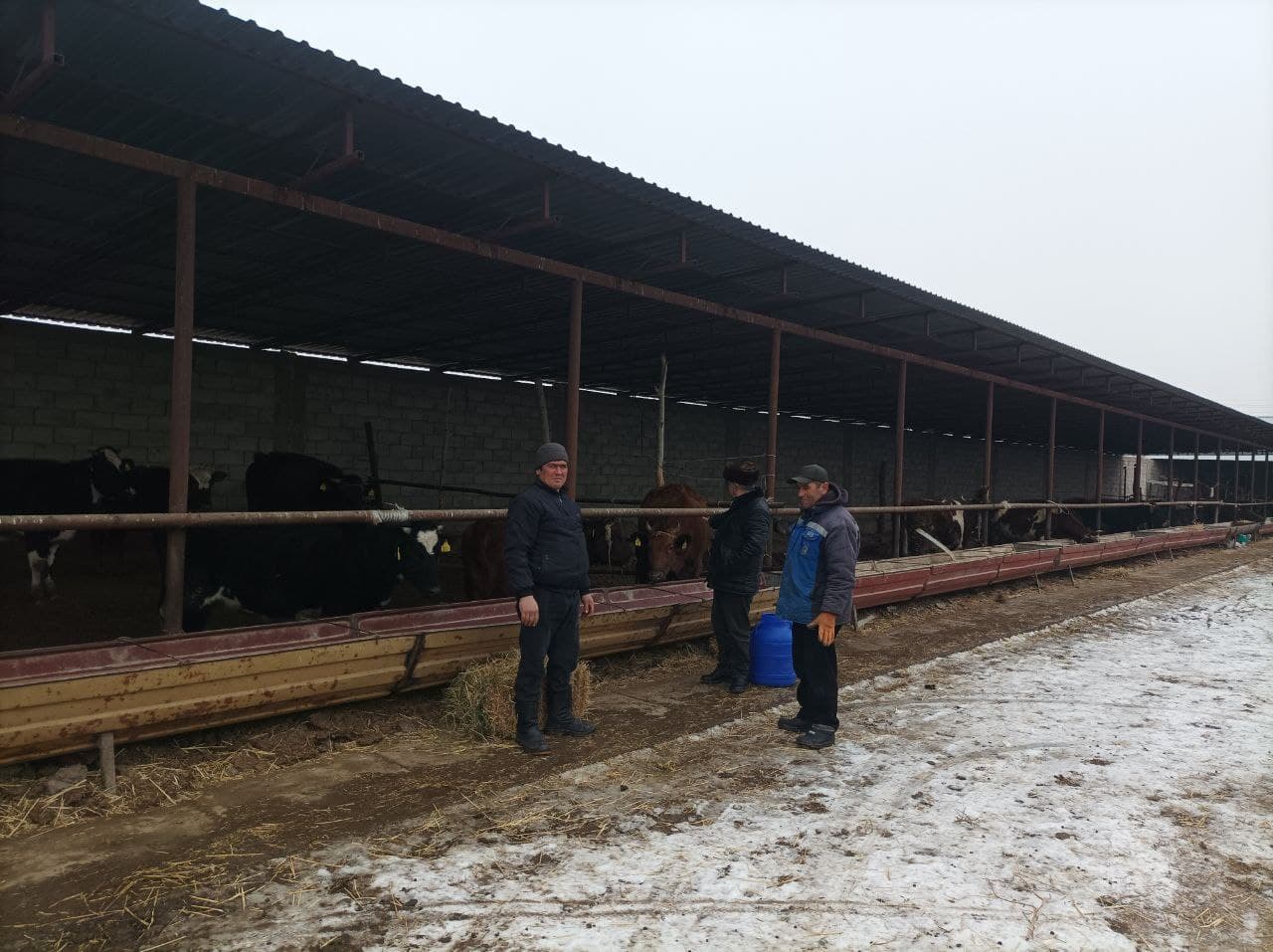 Чорвачиликда самарадорлик ва барқарор ривожланиш: Ҳикмат Ҳасан фермер хўжалиги мисолида