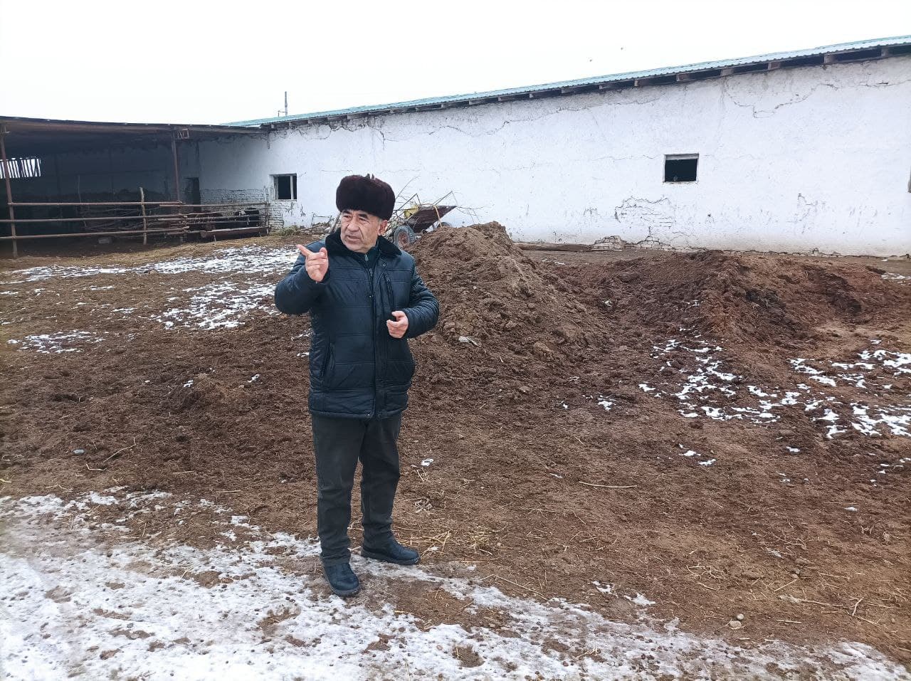 Чорвачиликда самарадорлик ва барқарор ривожланиш: Ҳикмат Ҳасан фермер хўжалиги мисолида