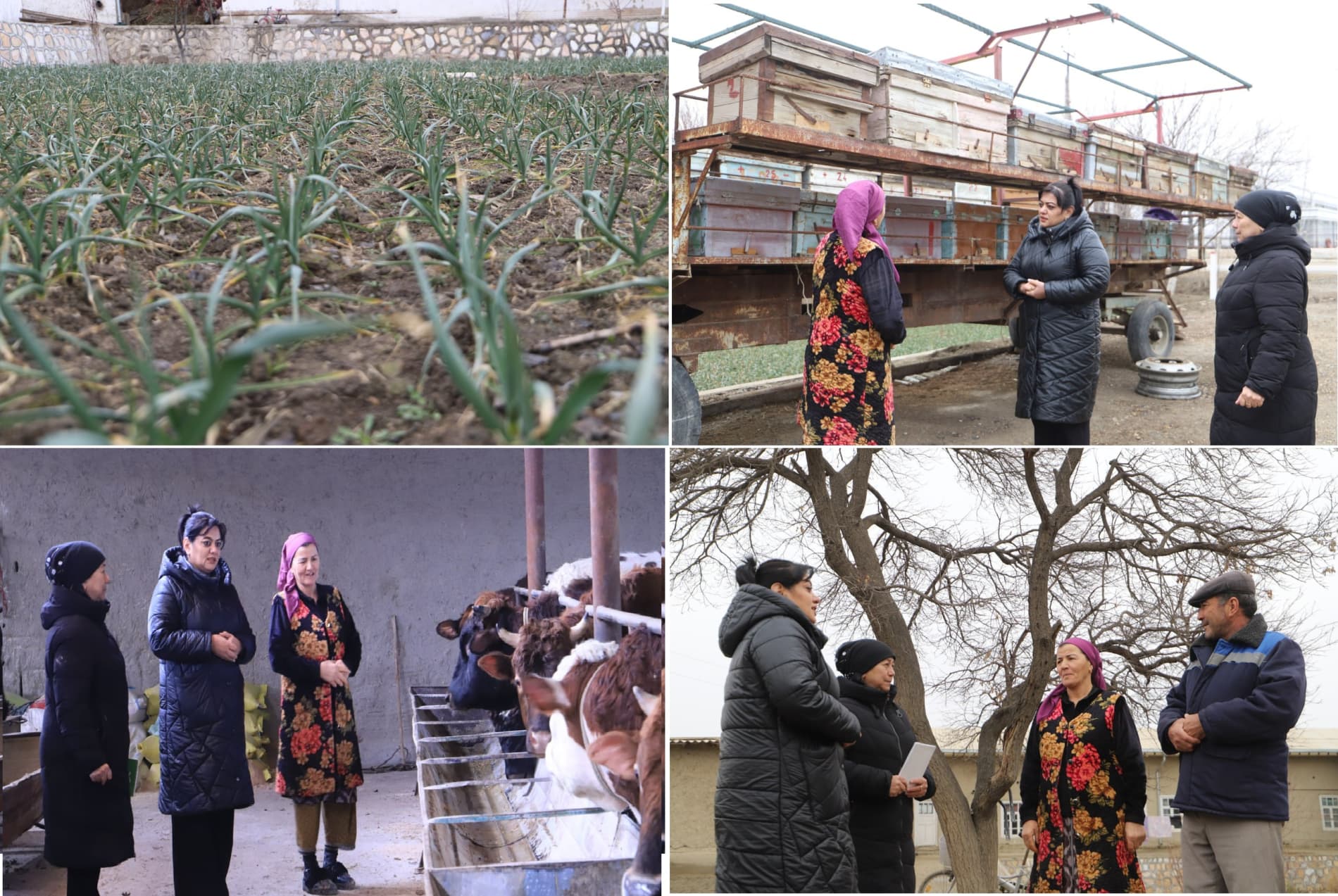 Tadbirkorlik va mehnat uyg‘unligi — farovon oila asosi