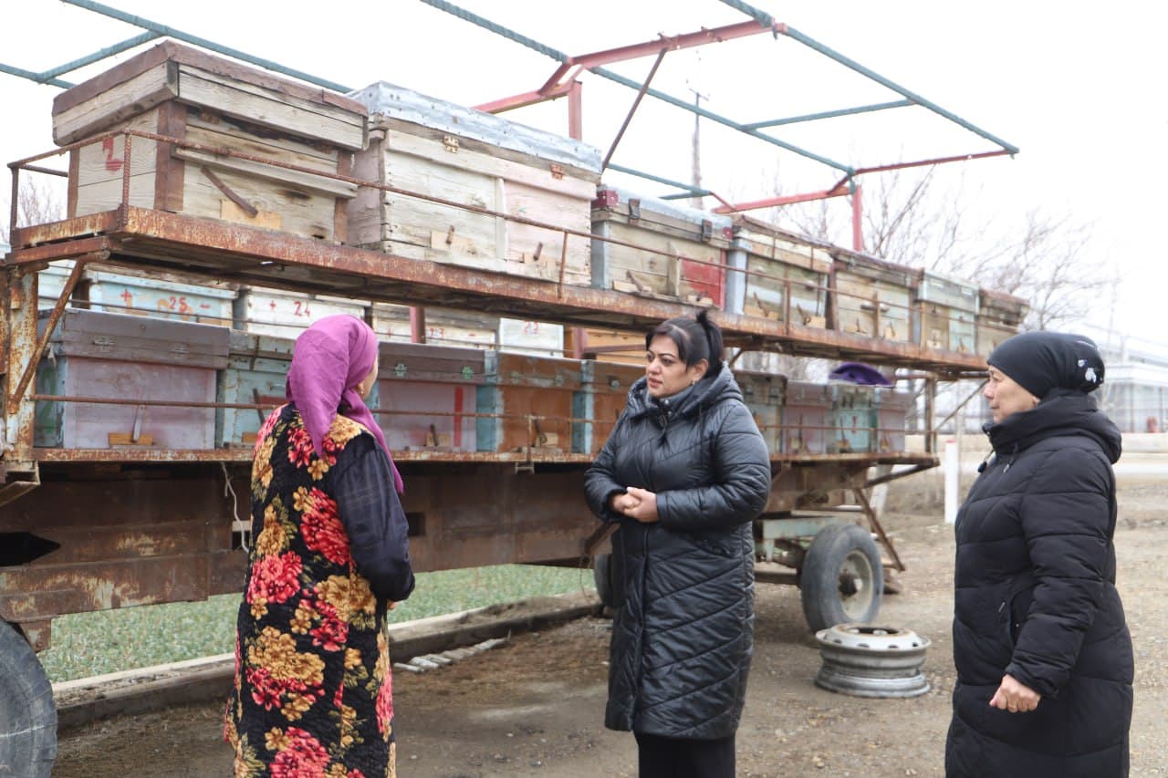 Tadbirkorlik va mehnat uyg‘unligi — farovon oila asosi