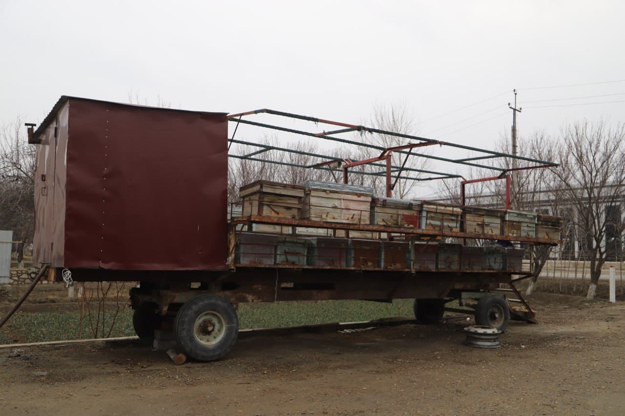 Tadbirkorlik va mehnat uyg‘unligi — farovon oila asosi