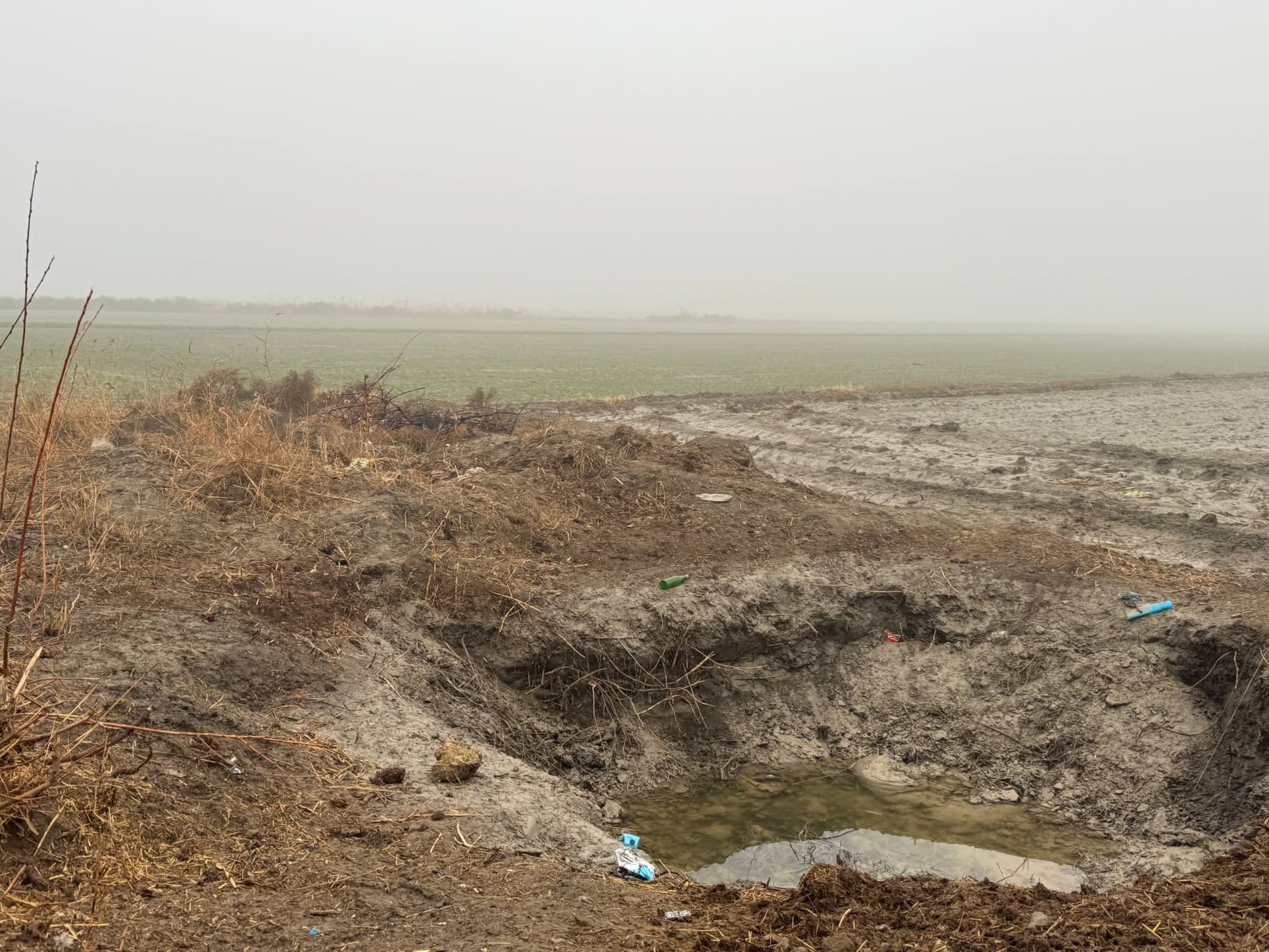 Бугундан ғаллага эътибор — эртанги мўл ҳосил кафолати: Шофиркон туманида 6600 гектар майдонда ғалла экинлари парваришланмоқда