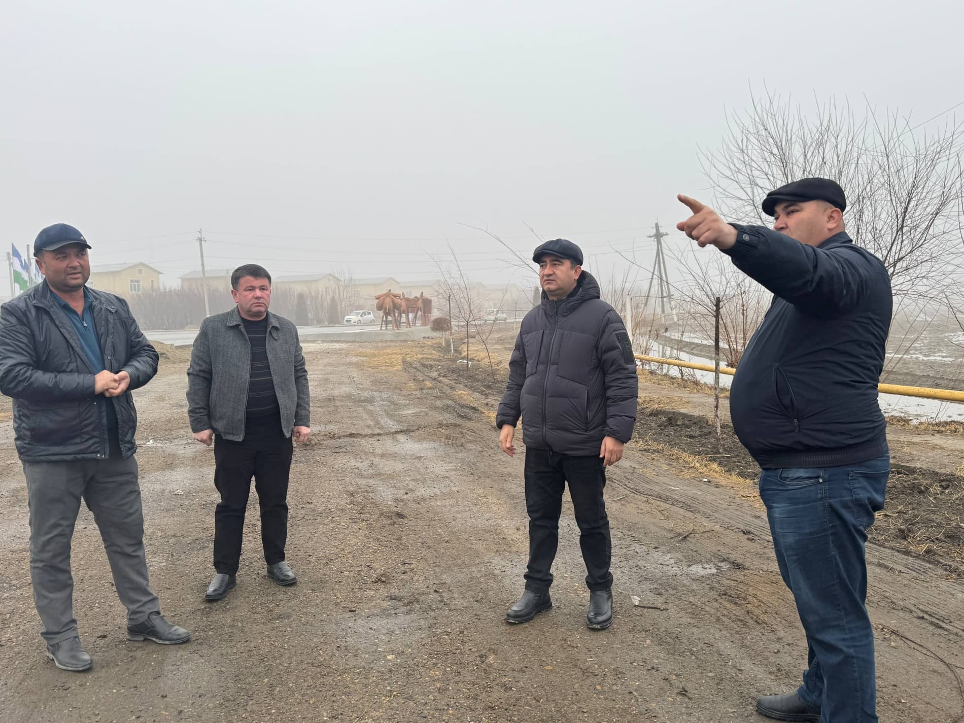 Бугундан ғаллага эътибор — эртанги мўл ҳосил кафолати: Шофиркон туманида 6600 гектар майдонда ғалла экинлари парваришланмоқда