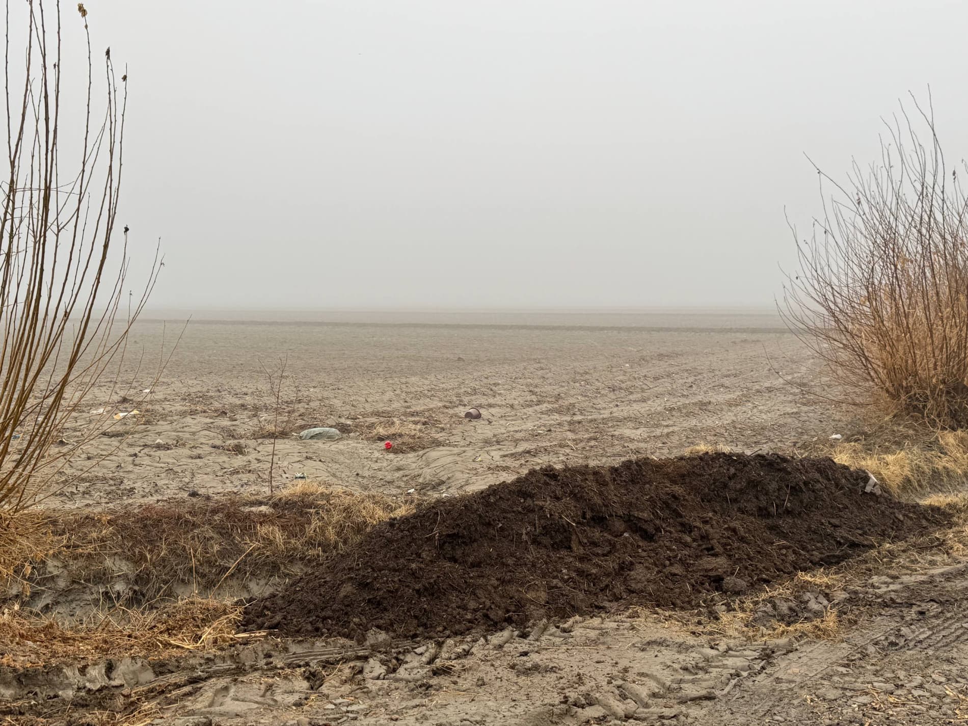 Бугундан ғаллага эътибор — эртанги мўл ҳосил кафолати: Шофиркон туманида 6600 гектар майдонда ғалла экинлари парваришланмоқда