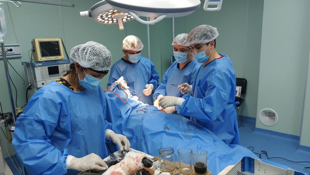 Шофирконлик шифокорлар мураккаб жарроҳлик амалиётини муваффақиятли якунладилар