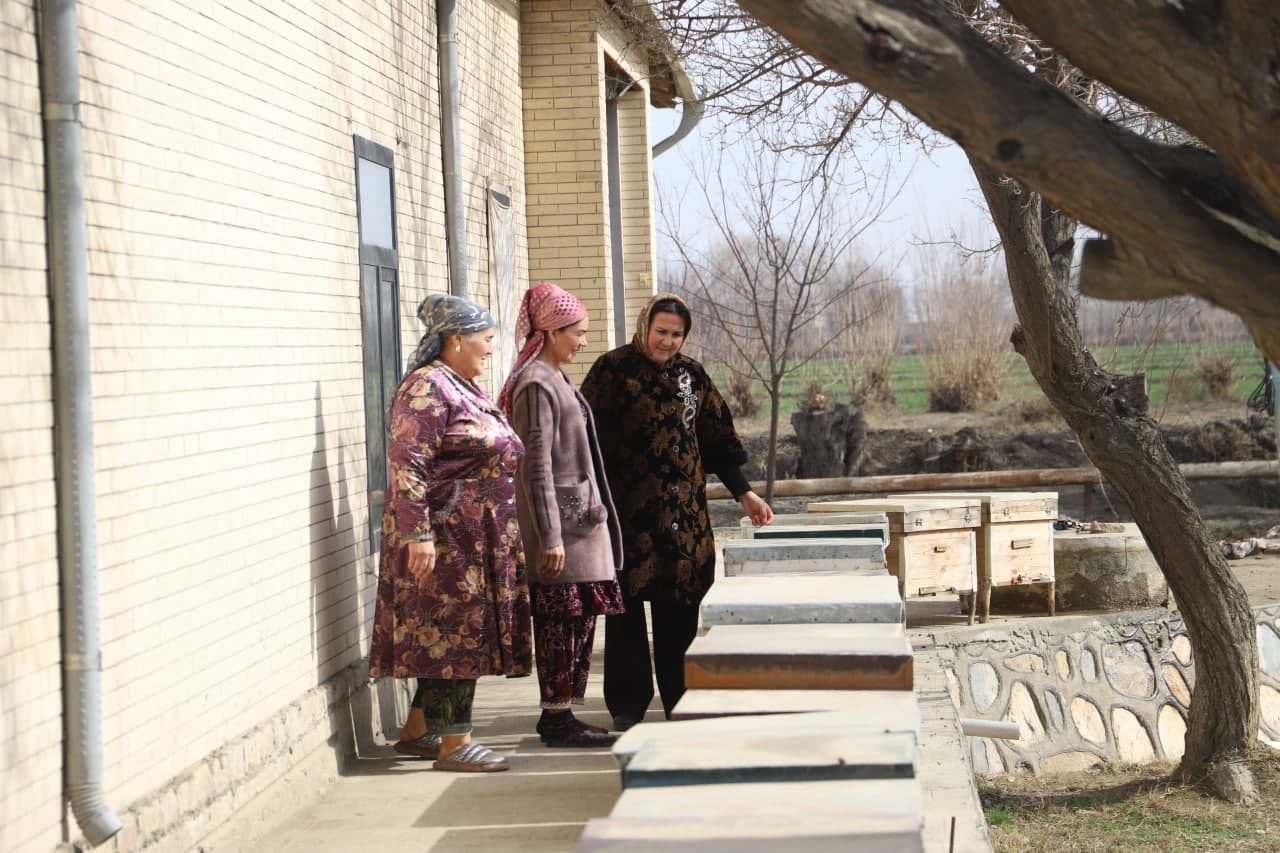 Shofirkonning "Bolli" ko‘chasi: Iskogaredagi tadbirkor asalarichilar xonadonidan reportaj