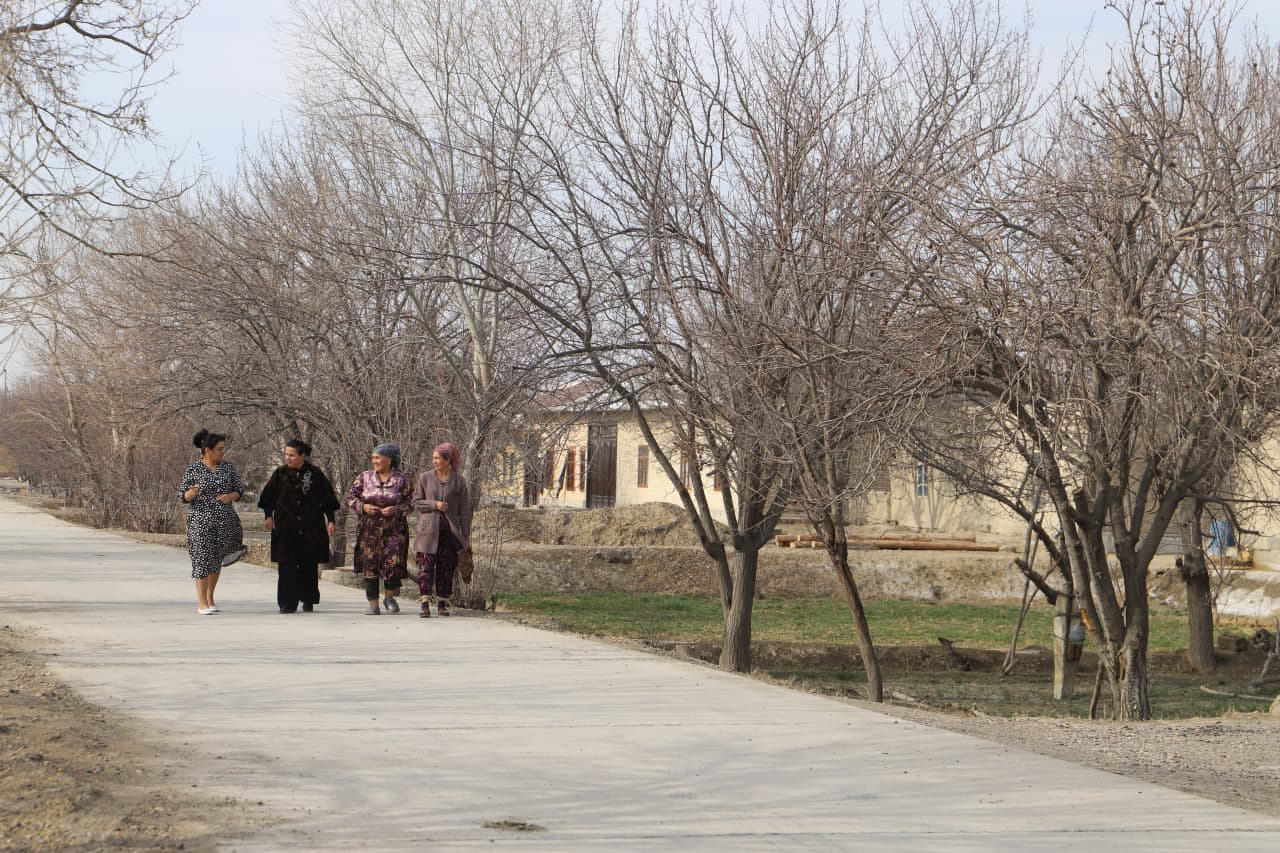 Shofirkonning "Bolli" ko‘chasi: Iskogaredagi tadbirkor asalarichilar xonadonidan reportaj