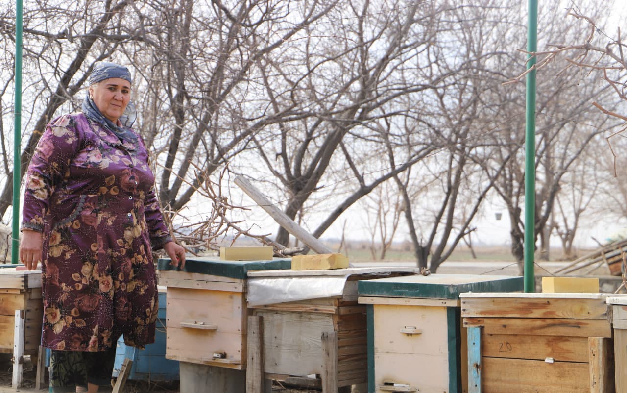 Shofirkonning "Bolli" ko‘chasi: Iskogaredagi tadbirkor asalarichilar xonadonidan reportaj
