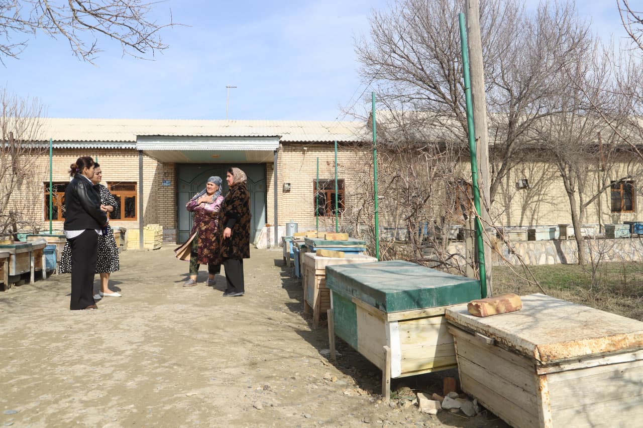 Shofirkonning "Bolli" ko‘chasi: Iskogaredagi tadbirkor asalarichilar xonadonidan reportaj